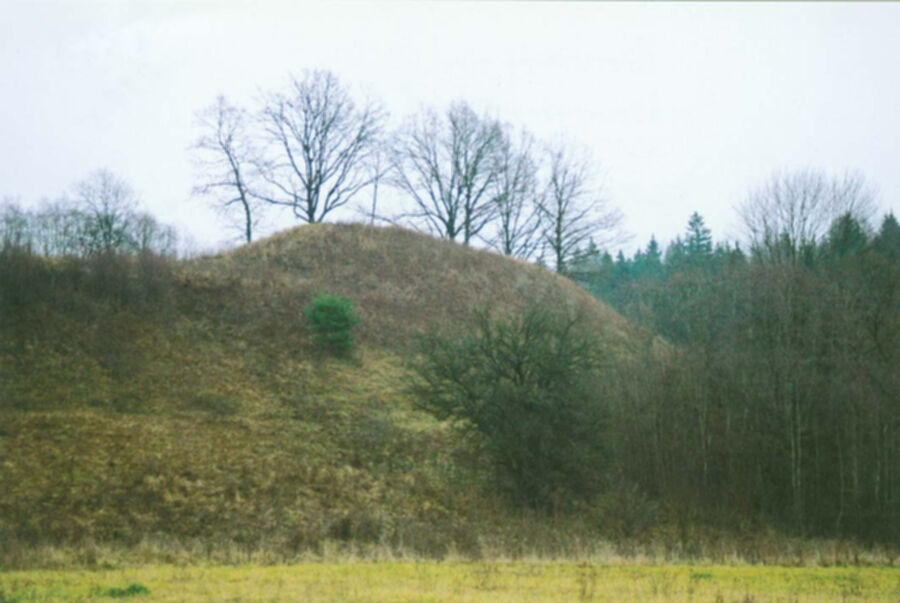 Iliustracija