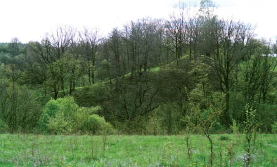 Iliustracija