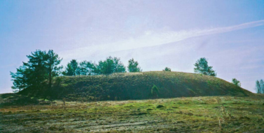 Iliustracija