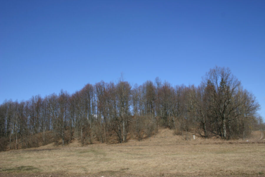 Iliustracija