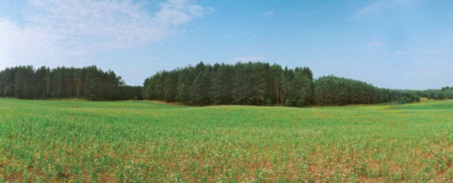 Iliustracija