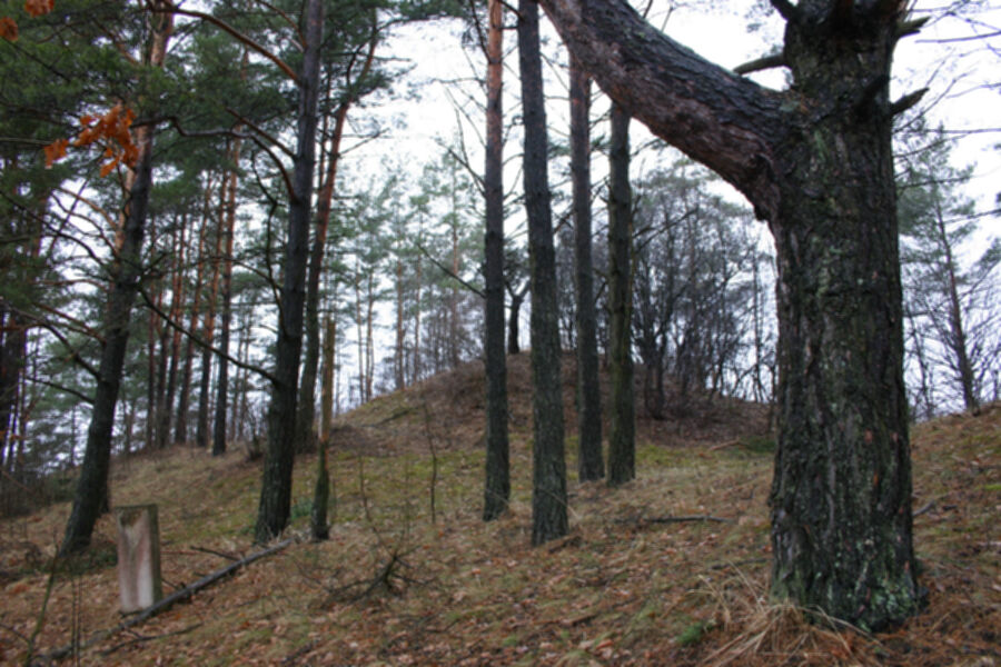 Iliustracija