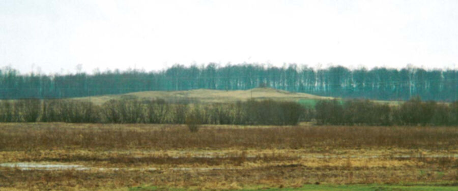 Iliustracija