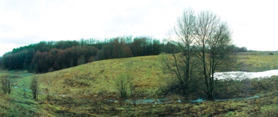 Iliustracija