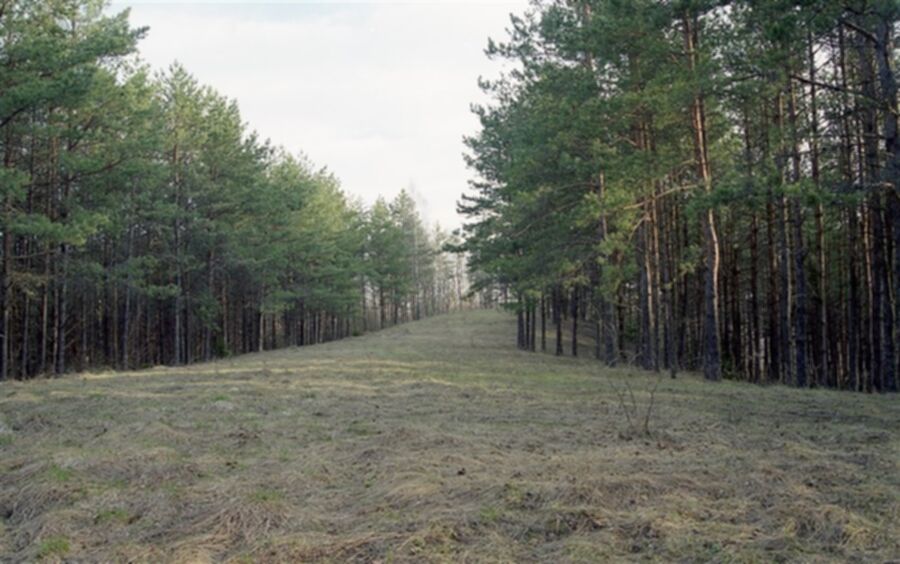 Iliustracija