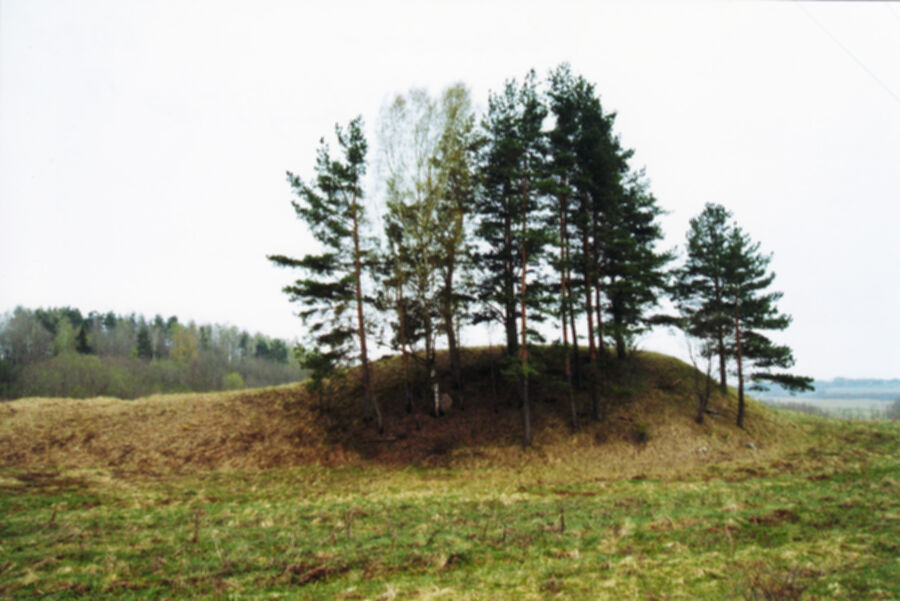 Iliustracija