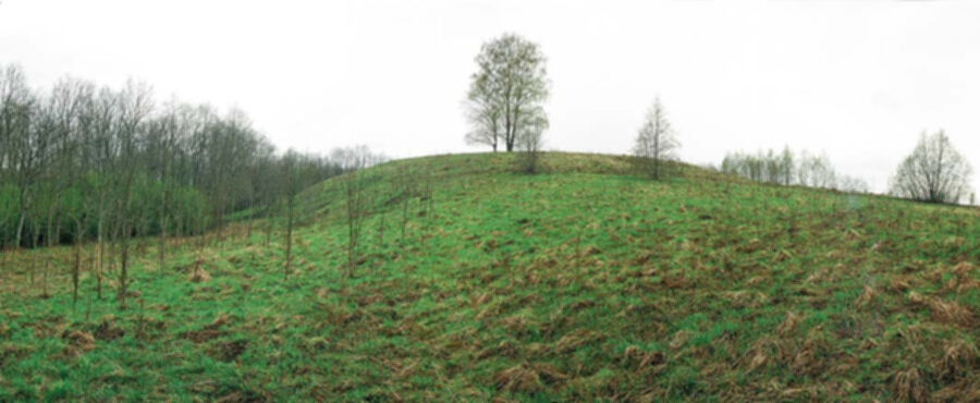Iliustracija