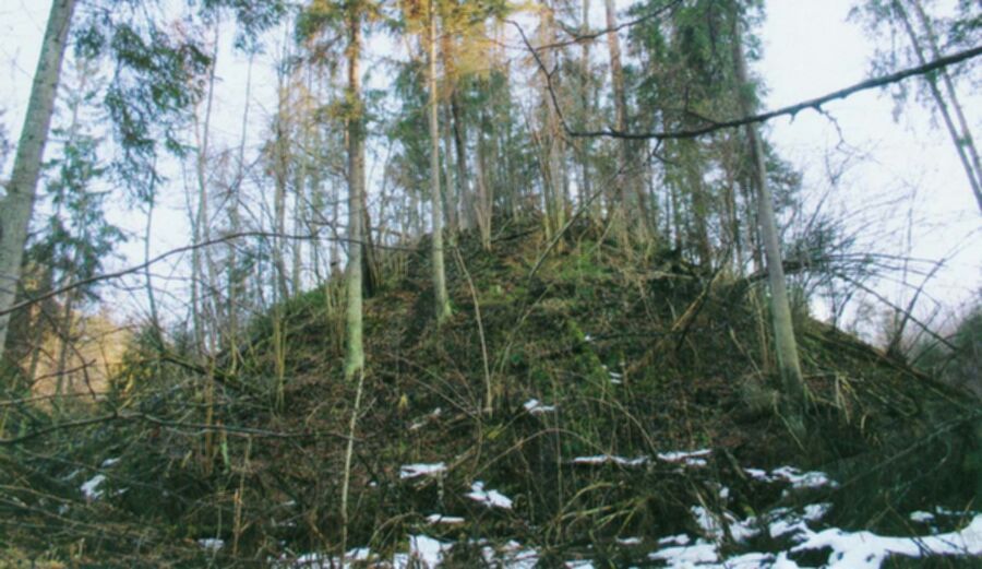 Iliustracija