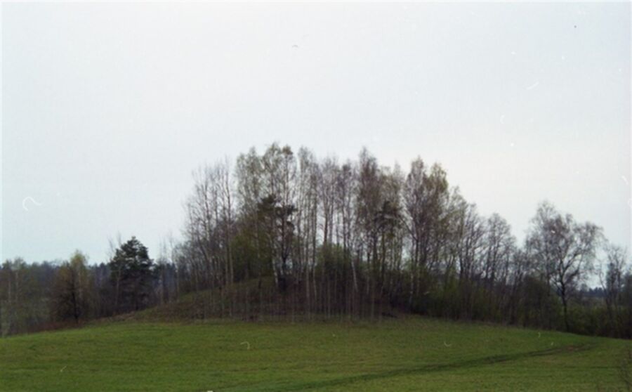 Iliustracija