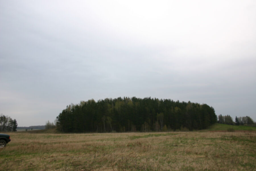 Iliustracija