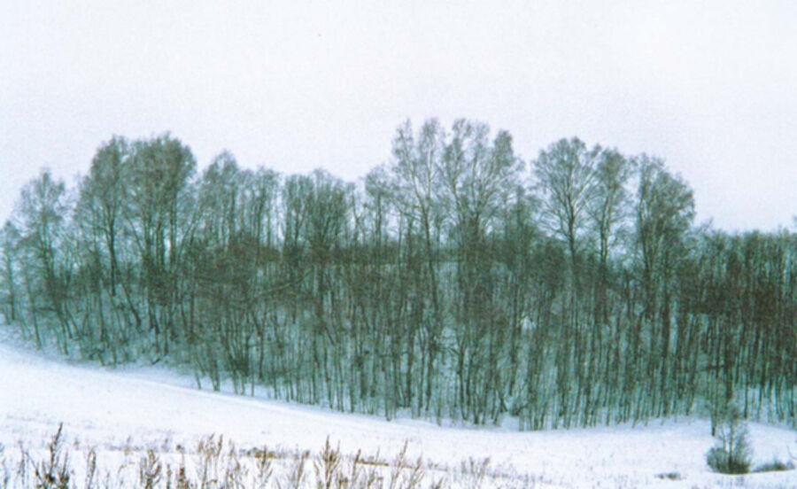 Iliustracija