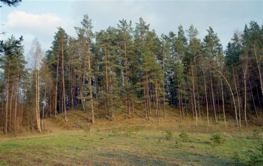 Iliustracija