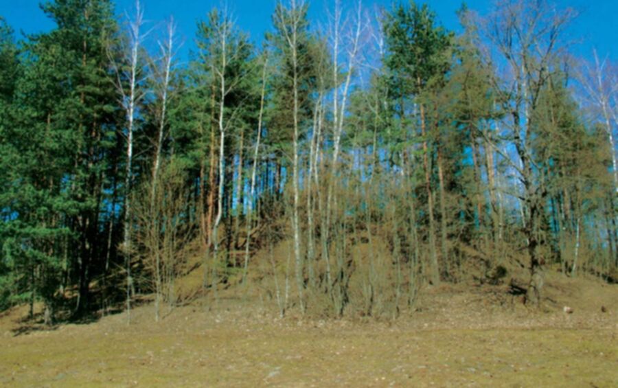 Iliustracija