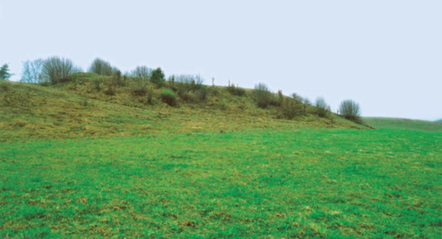 Iliustracija