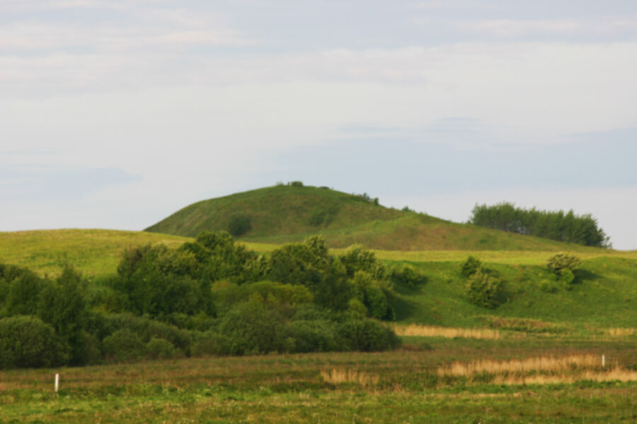 Iliustracija