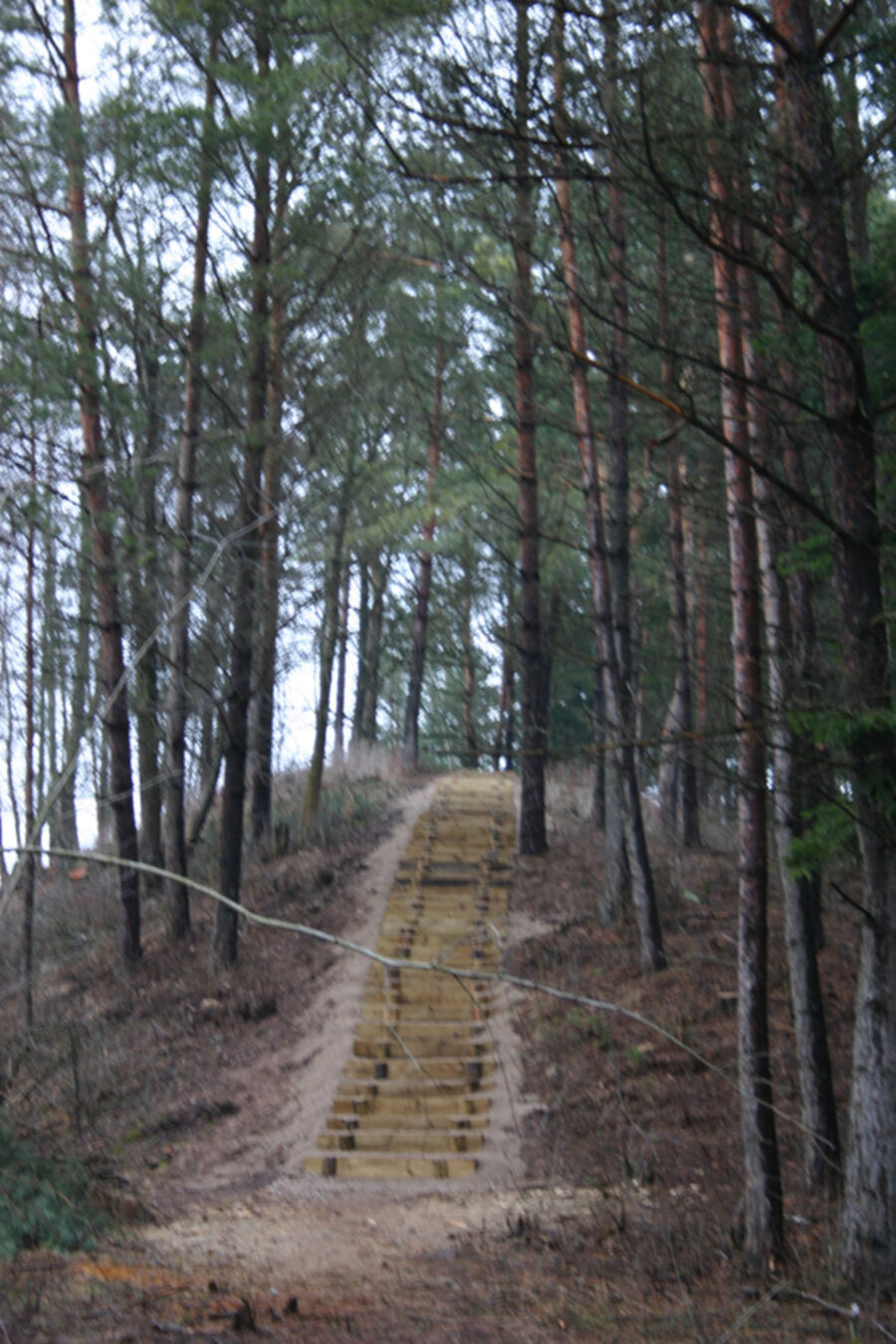 Iliustracija