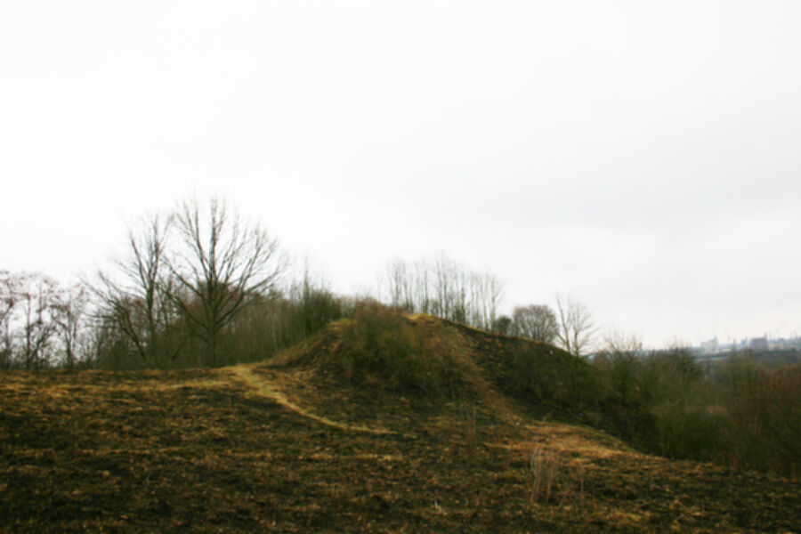 Iliustracija